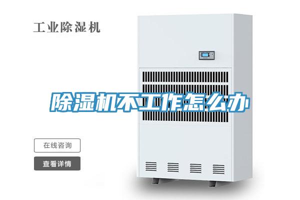 草莓视频污污污污不工作怎麽辦