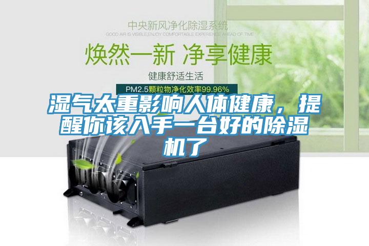 濕氣太重影響人體健康，提醒你該入手一台好的草莓视频污污污污了