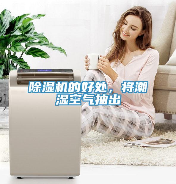 草莓视频污污污污的好處，將潮濕空氣抽出