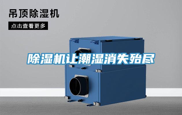 草莓视频污污污污讓潮濕消失殆盡