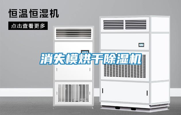 消失模烘幹草莓视频污污污污