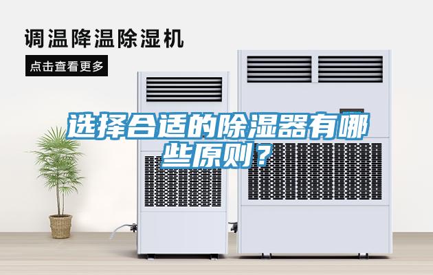選擇合適的除濕器有哪些原則？