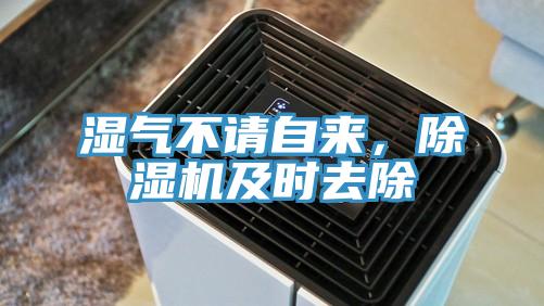 濕氣不請自來，草莓视频污污污污及時去除