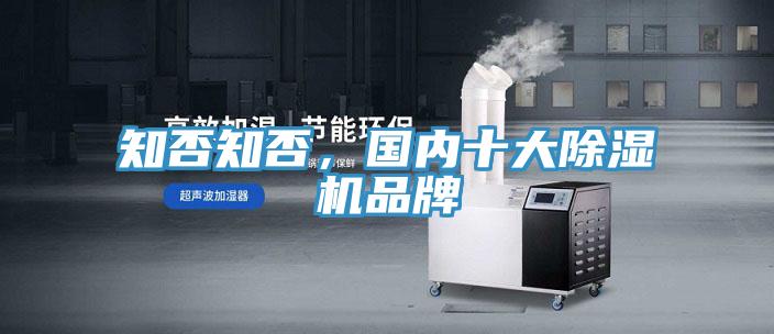 知否知否，國內十大草莓视频污污污污品牌