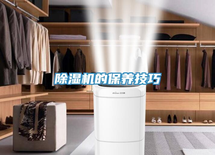 草莓视频污污污污的保養技巧