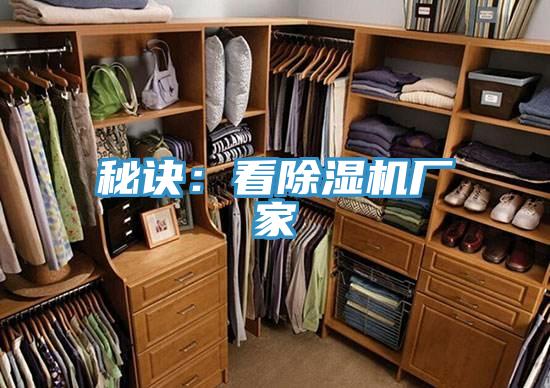 秘訣：看草莓视频污污污污廠家