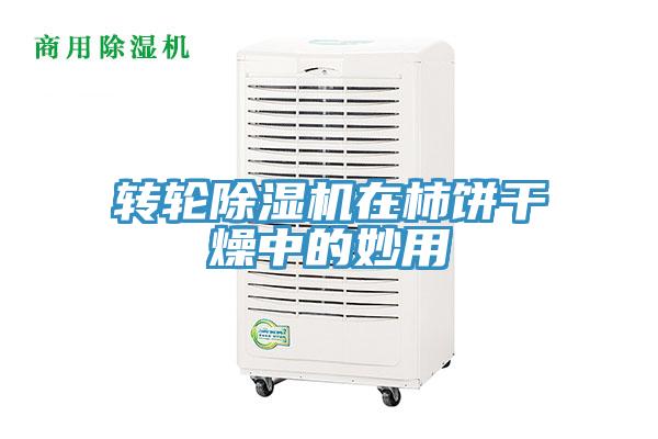 轉輪草莓视频污污污污在柿餅幹燥中的妙用