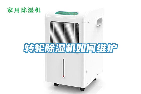 轉輪草莓视频污污污污如何維護