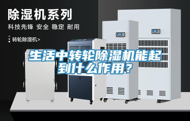生活中轉輪草莓视频污污污污能起到什麽作用？
