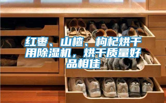 紅棗、山楂、枸杞烘幹用草莓视频污污污污，烘幹質量好品相佳