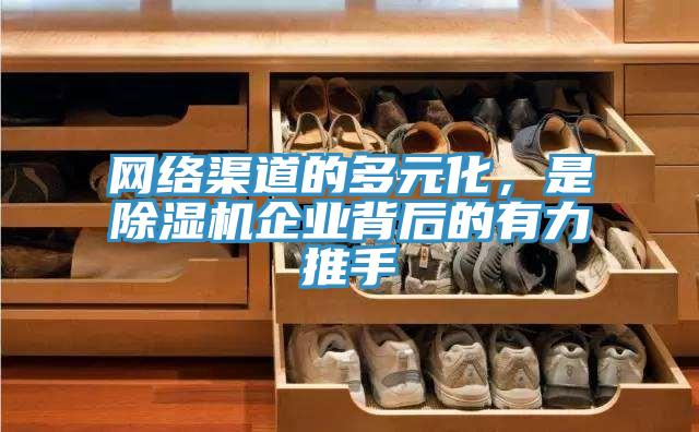網絡渠道的多元化，是草莓视频污污污污企業背後的有力推手
