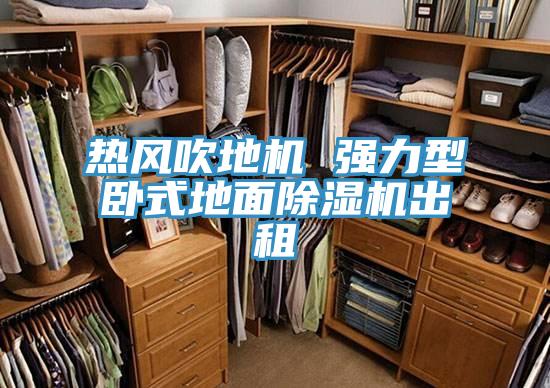 熱風吹地機 強力型臥式地麵草莓视频污污污污出租