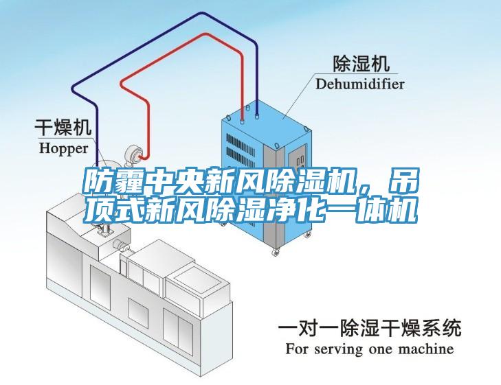 防霾中央新風草莓视频污污污污，吊頂式新風除濕淨化一體機