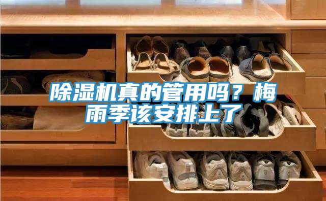 草莓视频污污污污真的管用嗎？梅雨季該安排上了