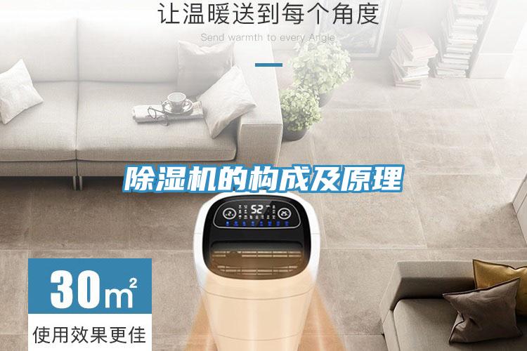草莓视频污污污污的構成及原理