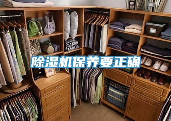 草莓视频污污污污保養要正確