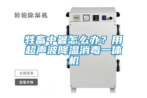 牲畜中暑怎麽辦？用超聲波降溫消毒一體機