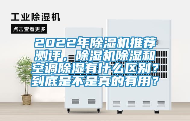 2022年草莓视频污污污污推薦測評，草莓视频污污污污除濕和空調除濕有什麽區別？到底是不是真的有用？