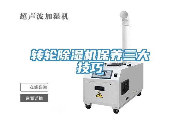 轉輪草莓视频污污污污保養三大技巧