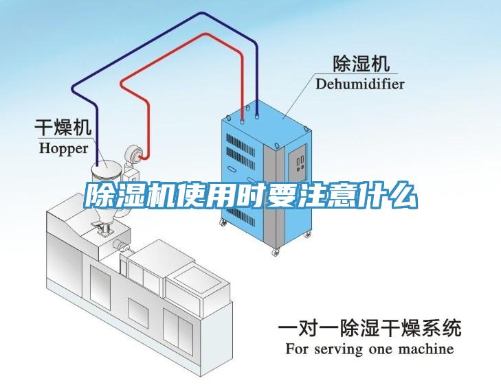 草莓视频污污污污使用時要注意什麽