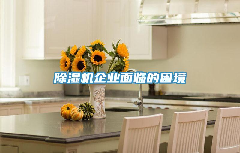 草莓视频污污污污企業麵臨的困境