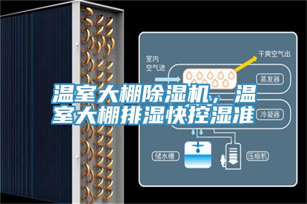溫室大棚草莓视频污污污污，溫室大棚排濕快控濕準