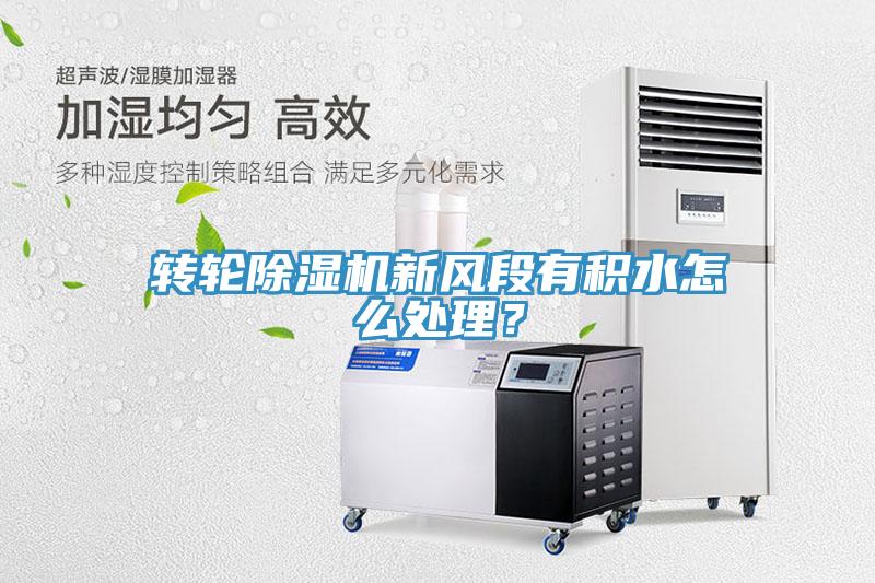轉輪草莓视频污污污污新風段有積水怎麽處理？