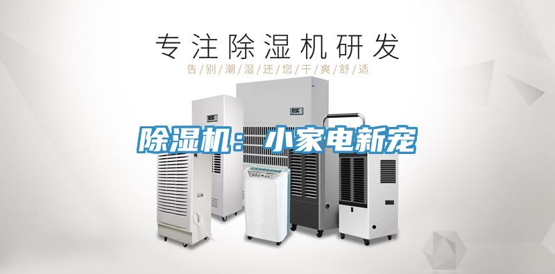 草莓视频污污污污：小家電新寵