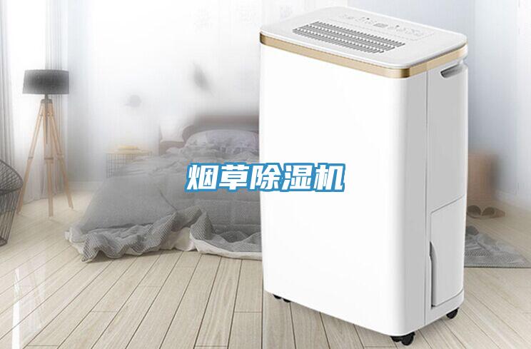 煙草草莓视频污污污污