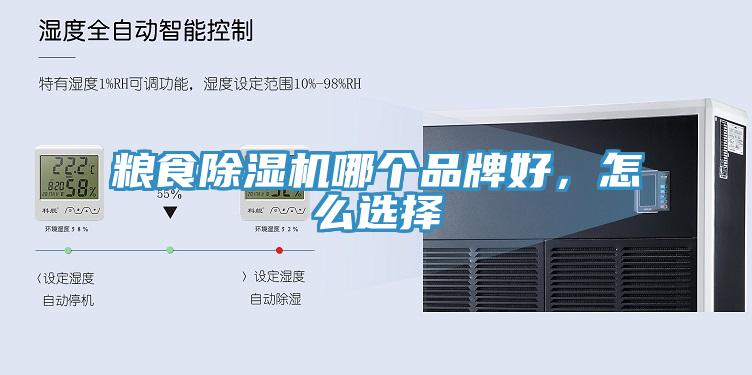 糧食草莓视频污污污污哪個品牌好，怎麽選擇