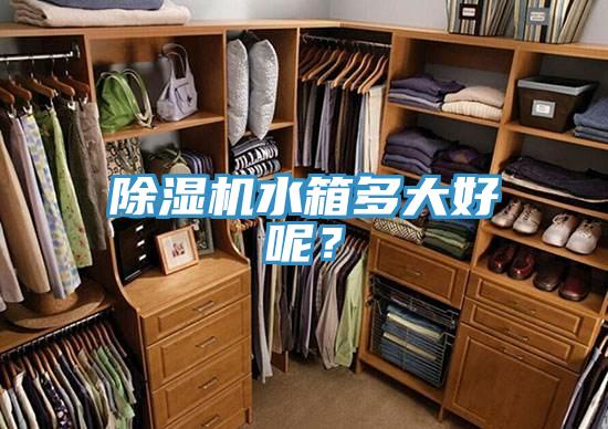 草莓视频污污污污水箱多大好呢？