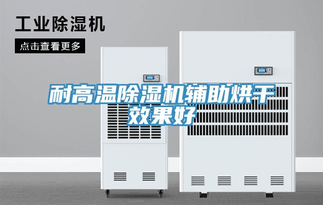 耐高溫草莓视频污污污污輔助烘幹效果好