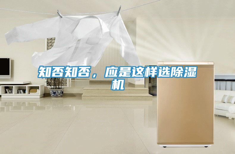 知否知否，應是這樣選草莓视频污污污污