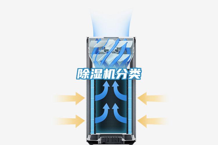 草莓视频污污污污分類