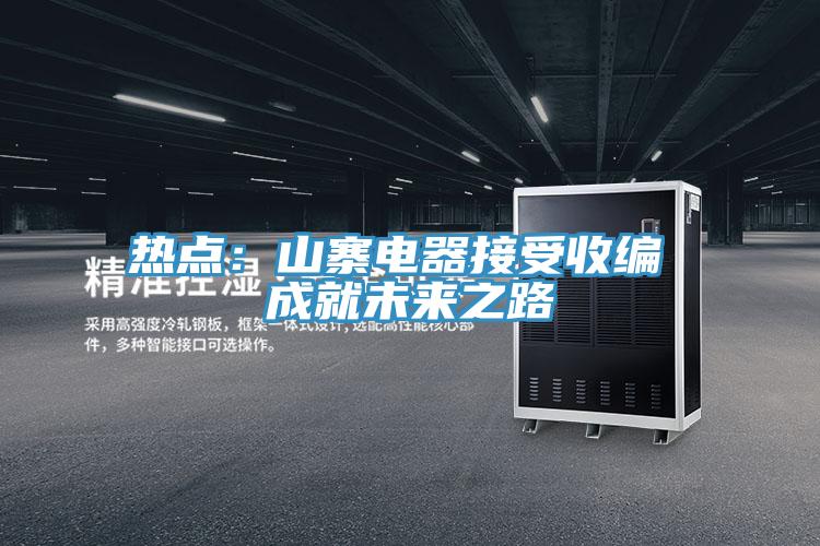 熱點：山寨電器接受收編 成就未來之路