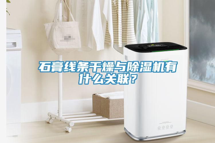 石膏線條幹燥與草莓视频污污污污有什麽關聯？