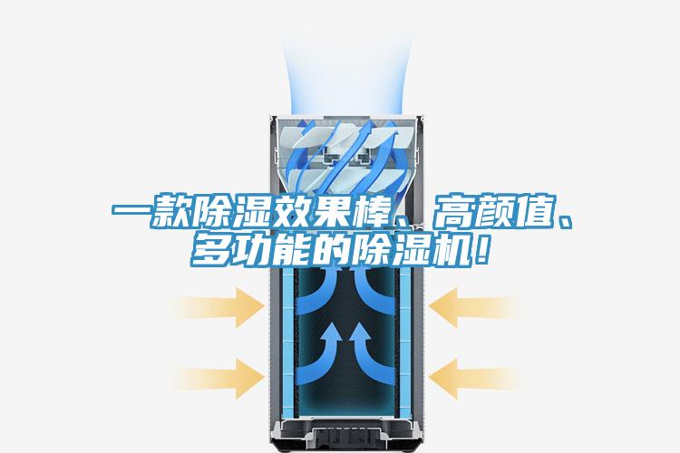 一款除濕效果棒、高顏值、多功能的草莓视频污污污污！