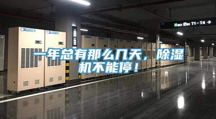 一年總有那麽幾天，草莓视频污污污污不能停！
