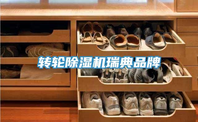 轉輪草莓视频污污污污瑞典品牌