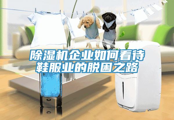 草莓视频污污污污企業如何看待鞋服業的脫困之路