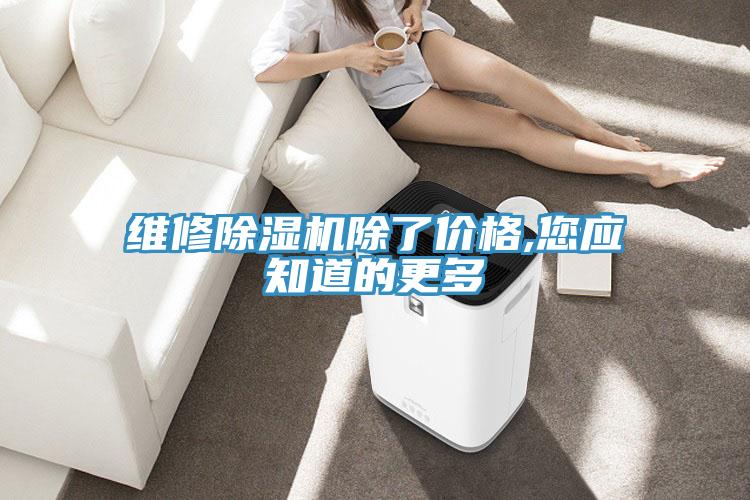 維修草莓视频污污污污除了價格,您應知道的更多