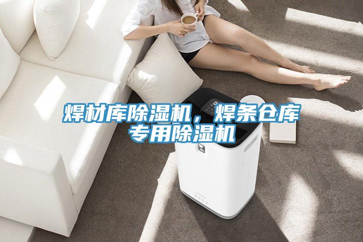 焊材庫草莓视频污污污污，焊條倉庫專用草莓视频污污污污