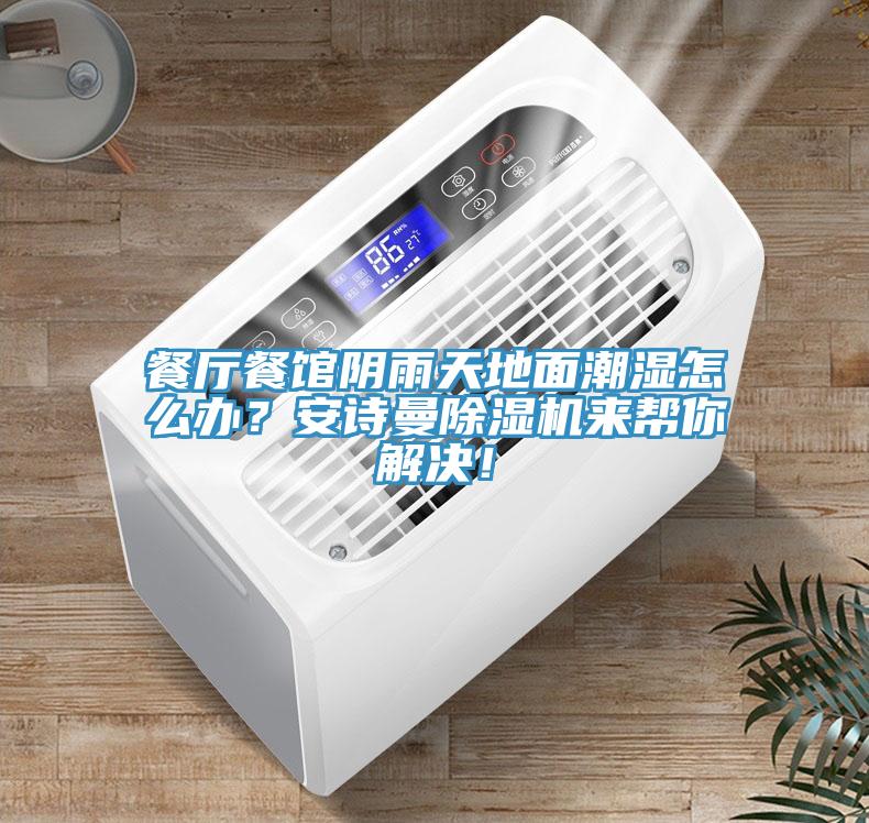 餐廳餐館陰雨天地麵潮濕怎麽辦？草莓视频黄污下载草莓视频污污污污來幫你解決！