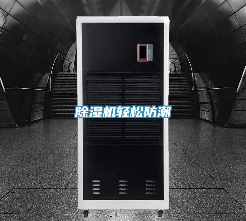 草莓视频污污污污輕鬆防潮