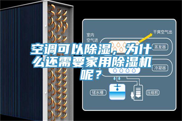 空調可以除濕，為什麽還需要家用草莓视频污污污污呢？