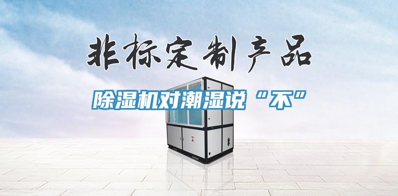 草莓视频污污污污對潮濕說“不”