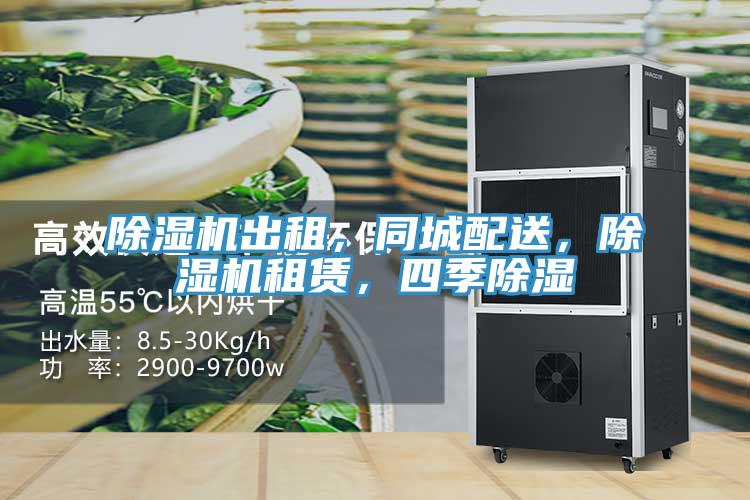草莓视频污污污污出租，同城配送，草莓视频污污污污租賃，四季除濕