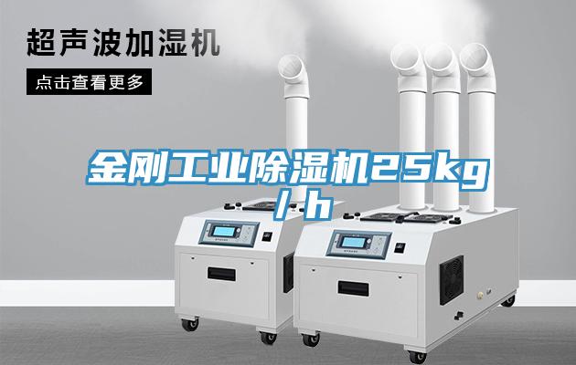 金剛工業草莓视频污污污污25kg／h