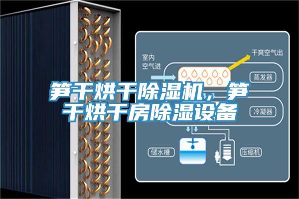 筍幹烘幹草莓视频污污污污，筍幹烘幹房除濕設備