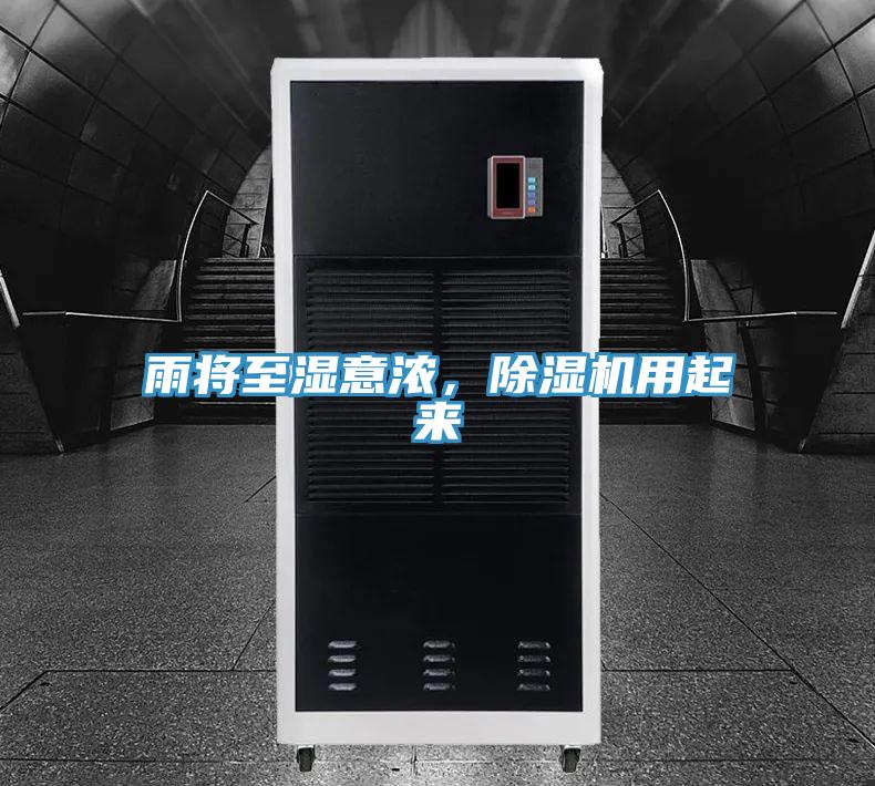 雨將至濕意濃，草莓视频污污污污用起來